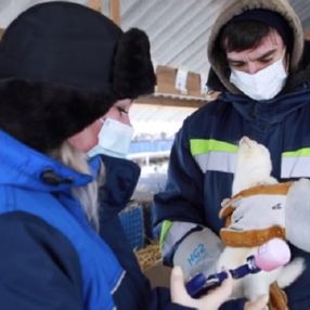 Rusya, hayvanlar için ilk koronavirüs aşısını onayladı