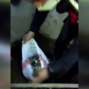 Kahramanmaraş'ta, çaldıkları sigara ve çikolataları cami bahçesine gömdüler