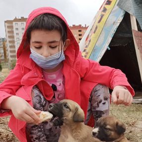 Niğde'de küçük Zümra'nın hayvan sevgisi takdir topladı