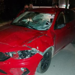 Sakarya'da otomobil ahırdan kaçan ata çarptı