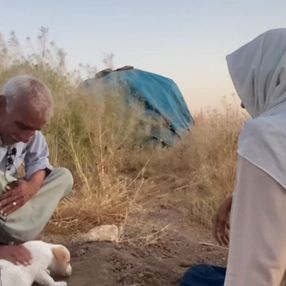 Şanlıurfa'da köpekleri ölen yaşlı çiftin gözyaşları