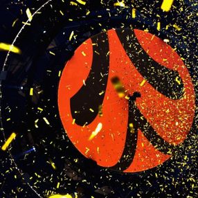 Almanya'daki Final Four öncesi, yönetim kurulu ve sporcu ailelerine vize çıkmadı