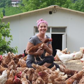 Rizeli girişimci kadın, köyüne dönüp tavuk çiftliği kurdu