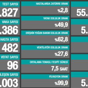 6 Haziran Türkiye'de koronavirüs tablosu