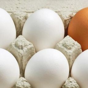 Hangisi daha faydalı: Beyaz ve kahverengi yumurta arasındaki farklar
