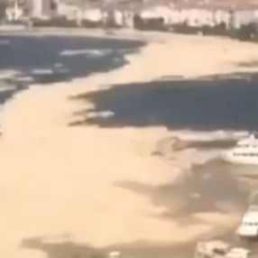 Marmara'da oluşan deniz salyası 30 saniyelik görüntüye yansıdı