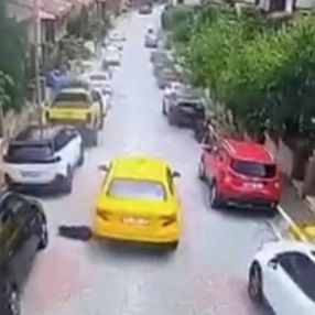 Eyüpsultan'da taksi şoförü köpeği ezerek öldürdü