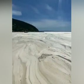 Balıkesir'e bağlı Erdek sahilli tamamen müsilaj ile kaplandı