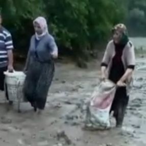 Adana'da selin tarlaya getirdiği balıkları mahalleli topladı