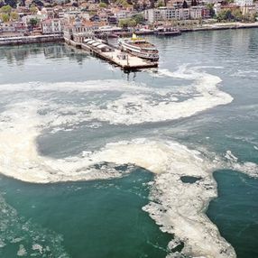Müsilaj Meclis araştırma komisyonu kararı Resmi Gazete'de