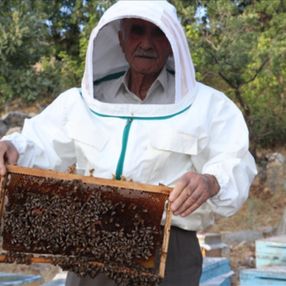 2 bin 973 rakımlı Mereto Dağı'nda 25 yıldır arıcılık yapıyor