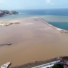Zonguldak'ta deniz çamurla kaplandı