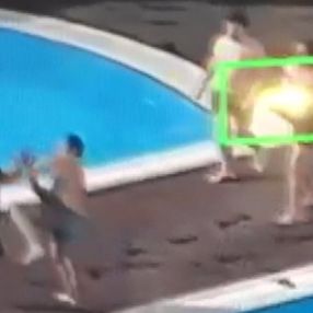 Beşiktaş'ta köpeği tekmeleyen site yöneticisi havuza atıldı