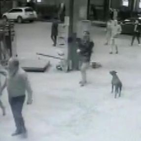 Arnavutköy'de oto tamirciye uzun namlulu silahlarla baskın yaptılar