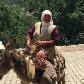 Amasya'da aşı ekipleri, eşek üstündeki yaşlı kadının şiiriyle moral buldu