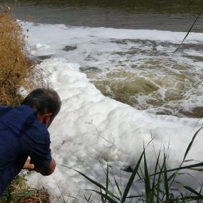 Büyük Menderes Nehri için çevrecilerden 'tehlike kapıda' uyarısı