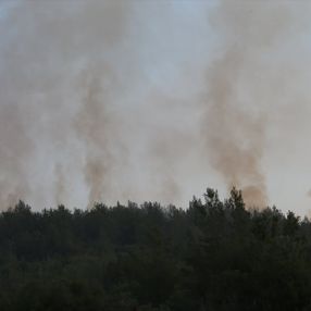 Mersin ve Hatay'daki orman yangınları kontrol altına alındı