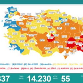 25 Temmuz Türkiye'de koronavirüs tablosu