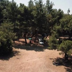 Balıkesir ve İzmir'de ormanlara giriş yasaklandı