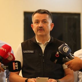 Manavgat'taki yangının bilançosu