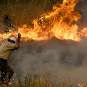 Orman yangınlarını söndürmek için vatandaşlar seferber oldu