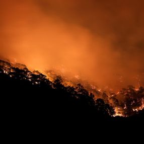 Orman yangını felaketinde son durum