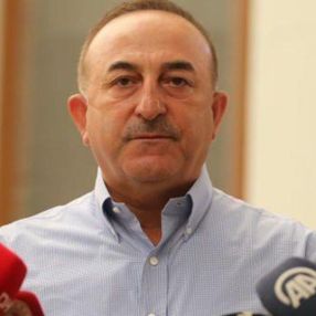 Mevlüt Çavuşoğlu, Muhittin Böcek'in iddiasına cevap verdi