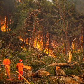Orman yangınlarının 8. gününde son durum tablosu 
