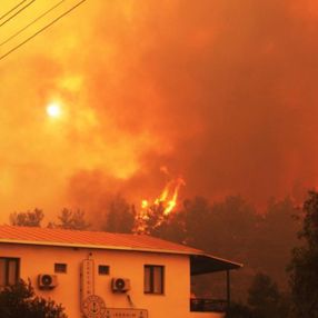 Muğla'da 40 bin hektarlık alan yangından zarar gördü