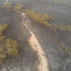 Muğla’da yanan ormanlık bölge havadan görüntülendi