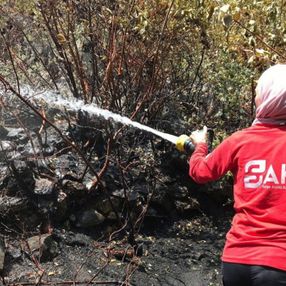 Suriyeliler, yangınlarla mücadele için Türkiye'ye geldi
