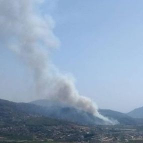 Dalaman'da orman yangını çıktı