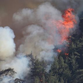 Orman yangınını söndürmek kadar hayati olan işlem: Soğutma