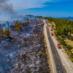 Manavgat'ta yanan 60 bin hektar ormanlık alanda 1 milyar TL'lik zarar oluştu