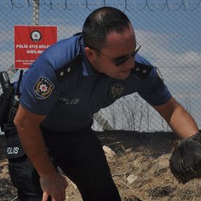 Karaman’da alevlerin arasında kalan kaplumbağayı polis ekipleri kurtardı