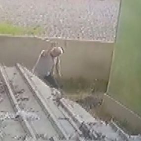 Ataşehir'de civcivlerini kovalayan köpeğe saldırdı