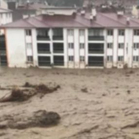 Kastamonu'da sel felaketinin boyutunu anlatan kare