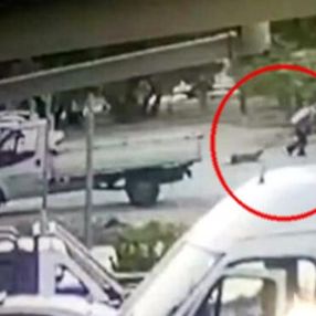 İzmir’de köpeğin ayaklarını bağlayıp yerde sürükledi