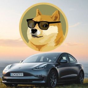 İkinci el Tesla modelleri, Dogecoin ile satın alınabilecek