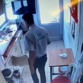 Adana'da güvenlik görevlisi sokak köpeğinin üzerine sıcak su döktü