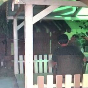 Şile'de cinayet: Husumetli olduğu kişiyi öldürdü