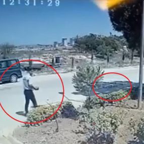 Adana'daki güvenlik, kaynar suyu köpeğe, saldırmaması için döktüğünü söyledi