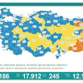 28 Ağustos Türkiye'de koronavirüs tablosu