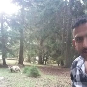 Artvin’de taksi şoförü ayı ile selfie çekti