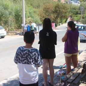 Muğla’da, zehirlenen sokak hayvanları öldü