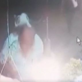 Sultangazi'de köpekten kaçan kedinin güldüren anları