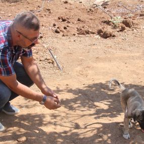 Elazığ’da, felçli yavru köpeği yeniden ayağa kaldırdı