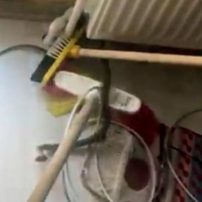 Avcılar'da bir evin kalorifer peteğine yılan girdi