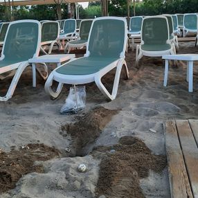 Antalya'da caretta carettaların ölümüne neden olan iki otele ceza