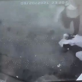 Yiğit Marcus Aral'ın öldüresiye dövüldüğü anlar